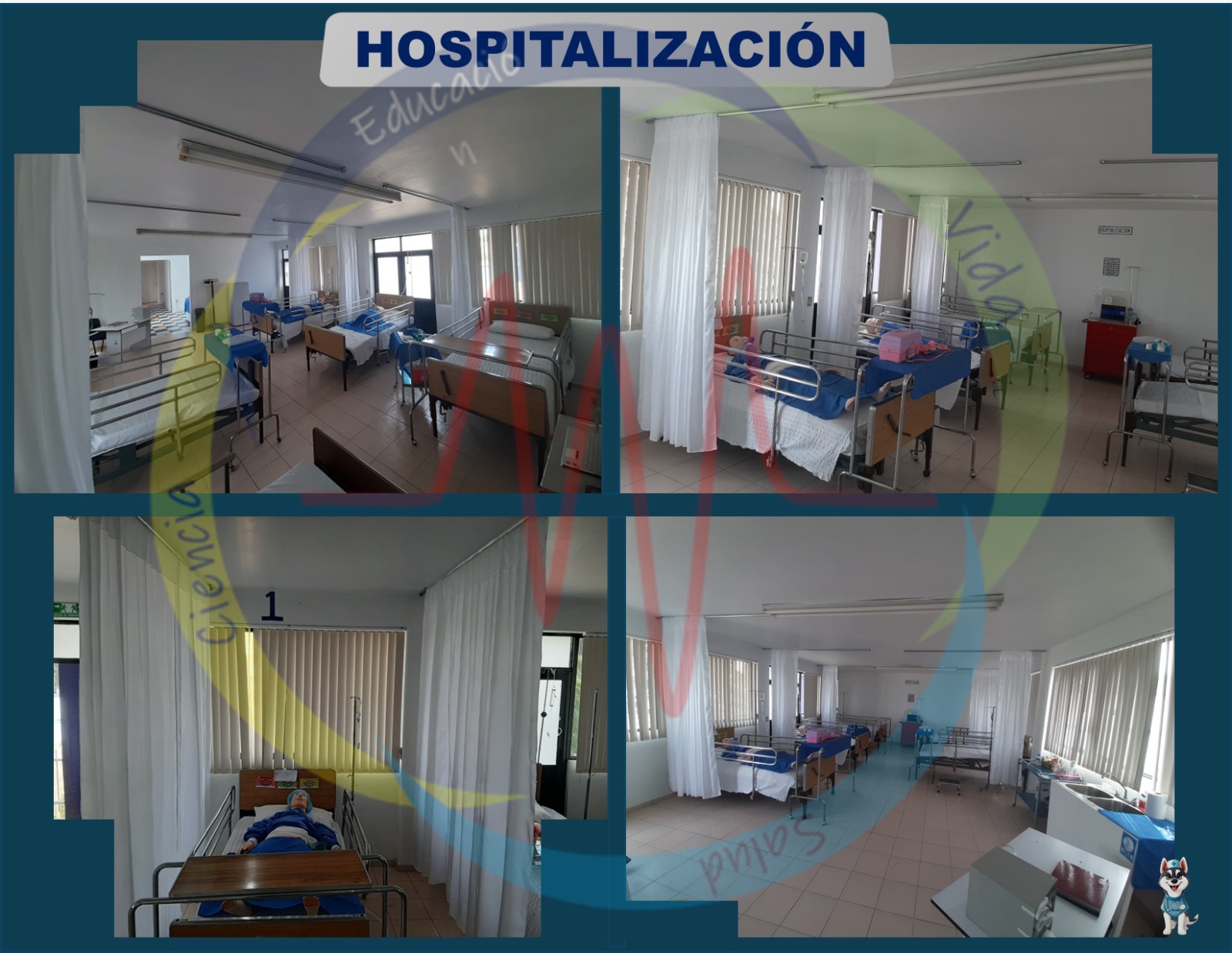 Hospitalización