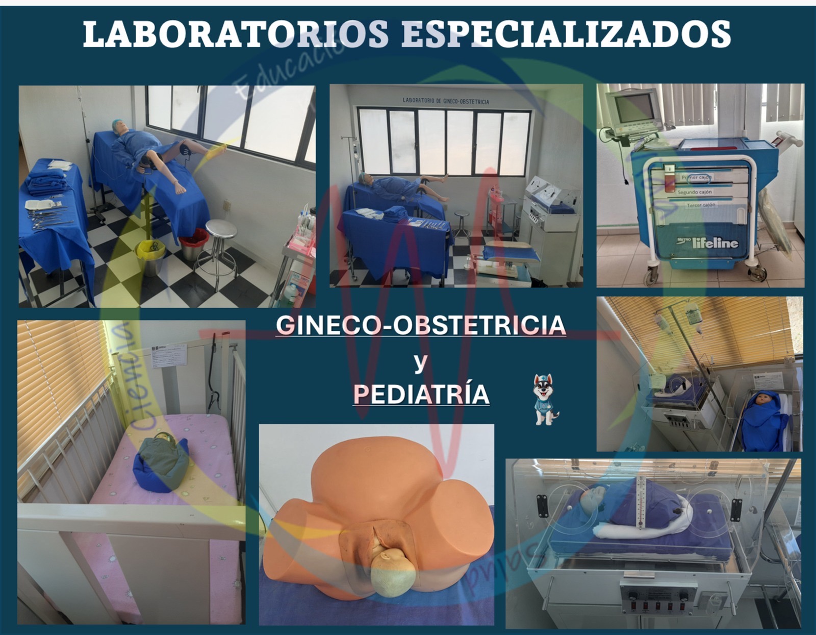 Laboratorios especializados